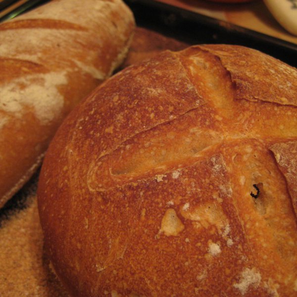 Breads 5